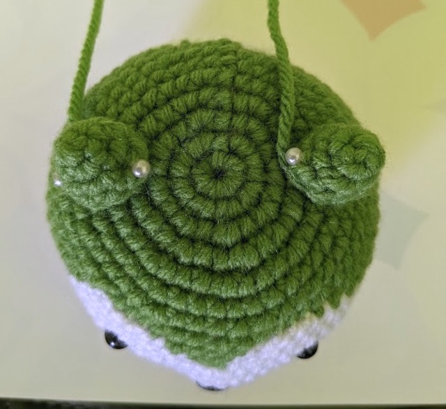 Sommie's head viewed from above, with the ears pinned into place