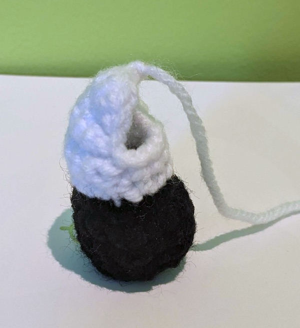 Completed Sommie leg viewed from the front
